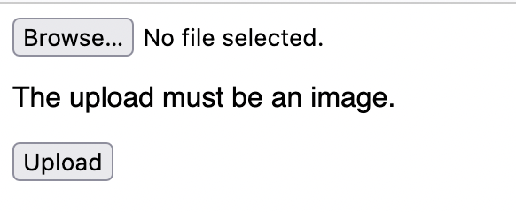 File upload showing error message