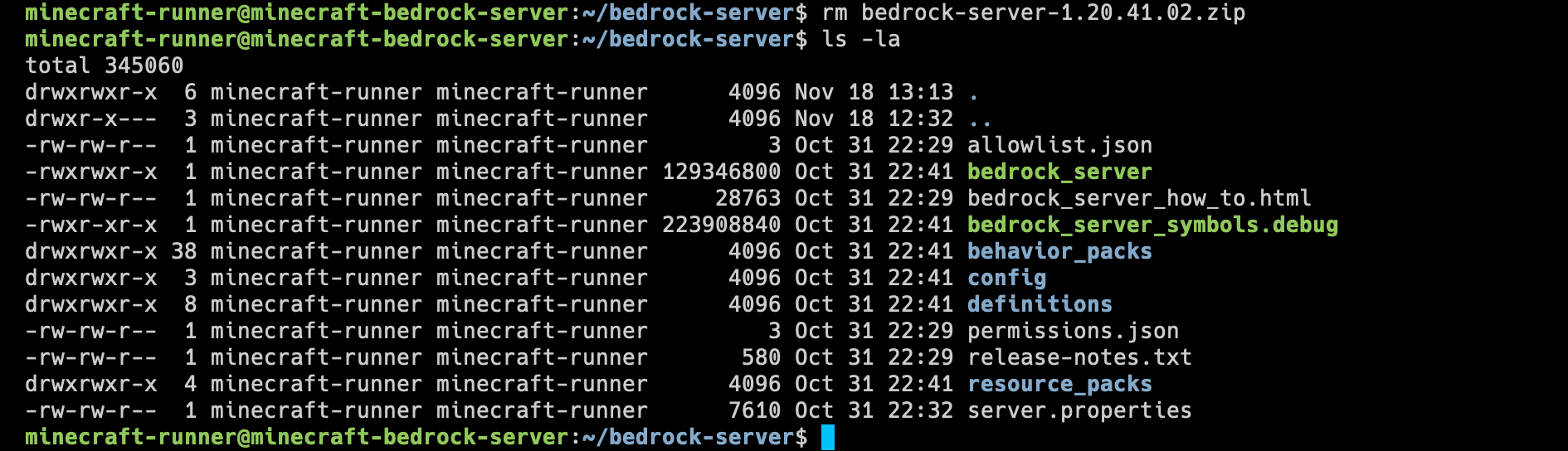 Setting up a Dedicated Minecraft Bedrock Server Tutorial (2024)